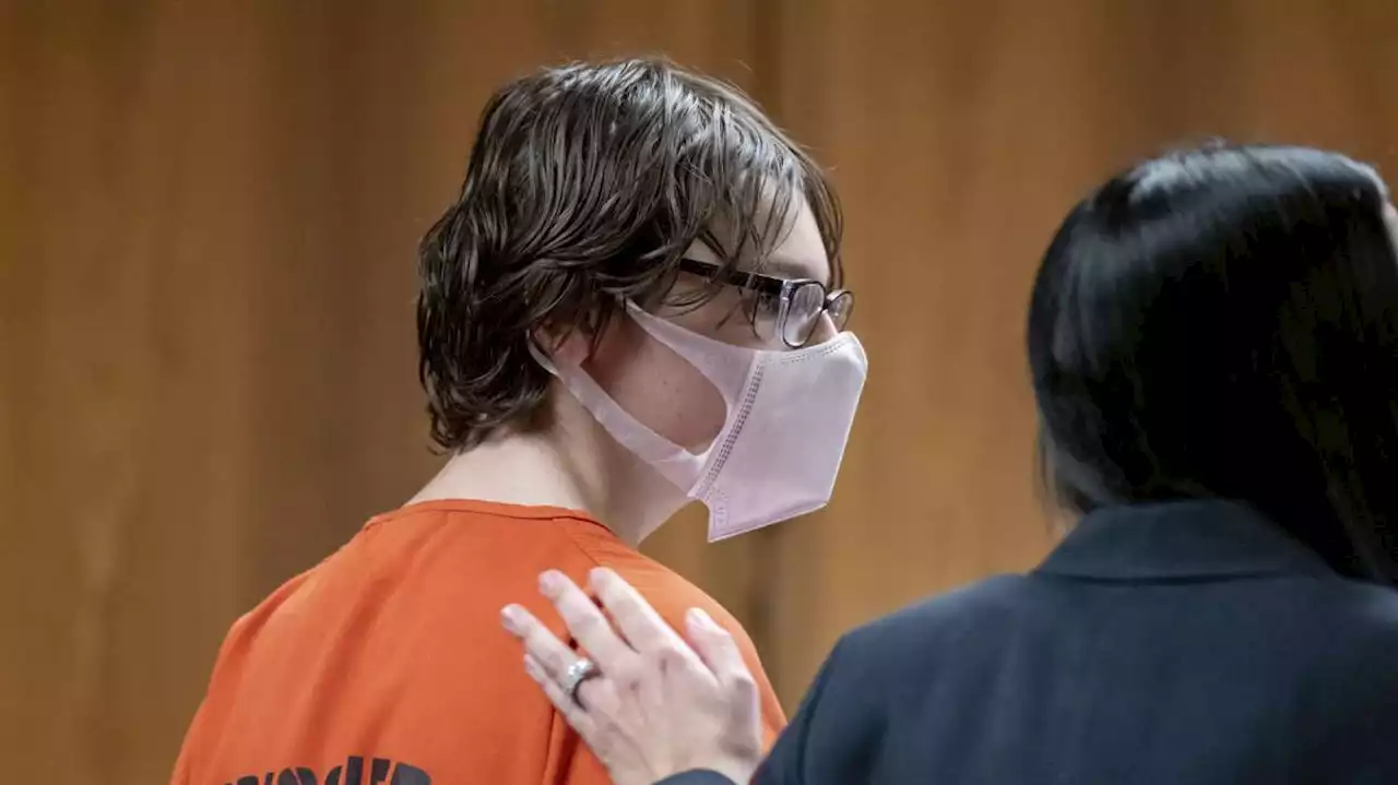 Michigan school shooting suspect may testify at parents' trial