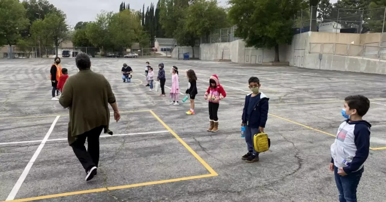 LAUSD Assigns Millions In Funding For 'Green Schoolyards'