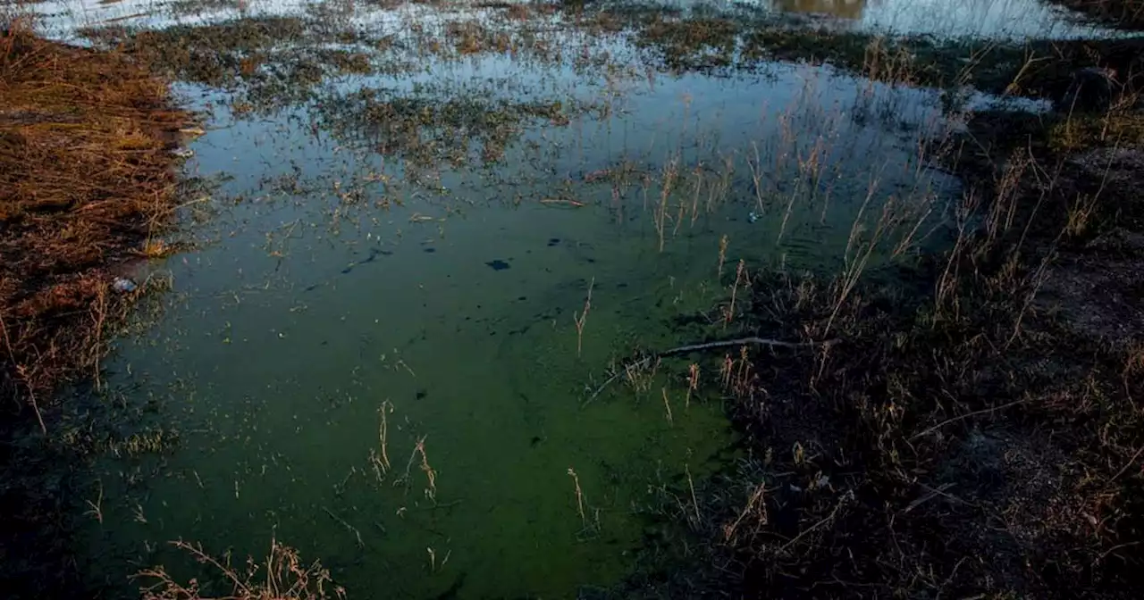 Con la contaminación de Los Molinos, perdemos todos | Editorial | La Voz del Interior