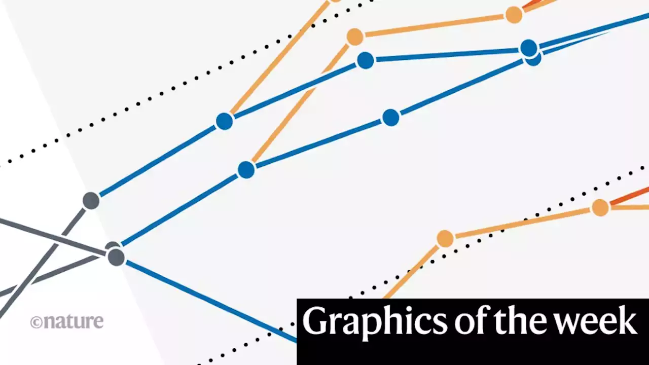 Cancer’s clock, data hoarding — the week in infographics