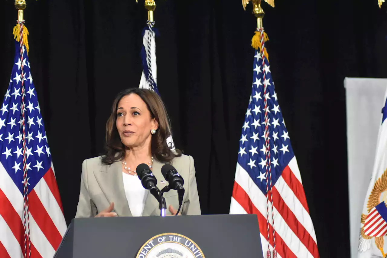 Harris Emerges as Top Abortion Rights Voice, Warns of More Fallout