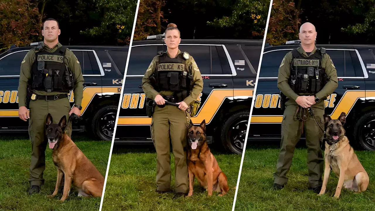 Three K-9s Call It a Career After Serving People in Delaware