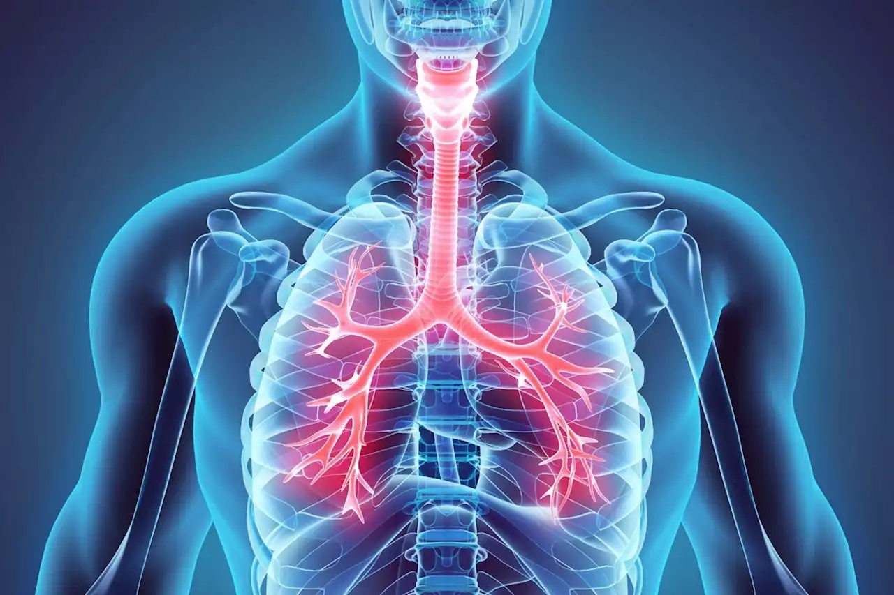 What can COVID-19 Teach us about Respiratory Disease?