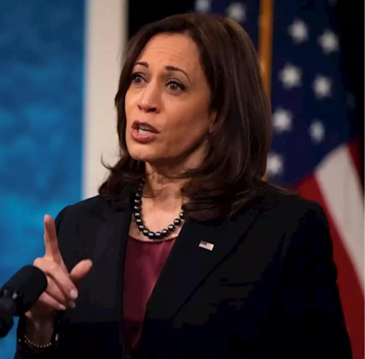 Harris emerges as top abortion voice, warns of more fallout - New York Amsterdam News