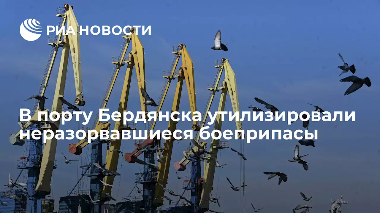 В порту Бердянска утилизировали неразорвавшиеся боеприпасы