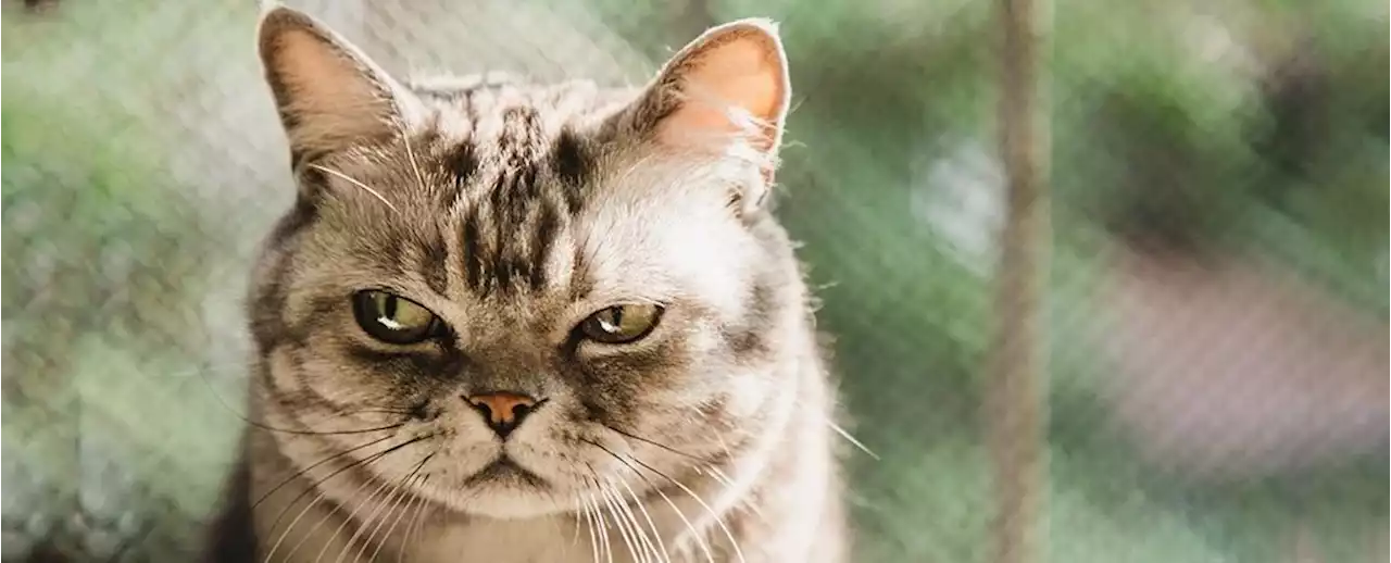 Feeling Grumpy Can Actually Be a Good Thing, Researcher Says