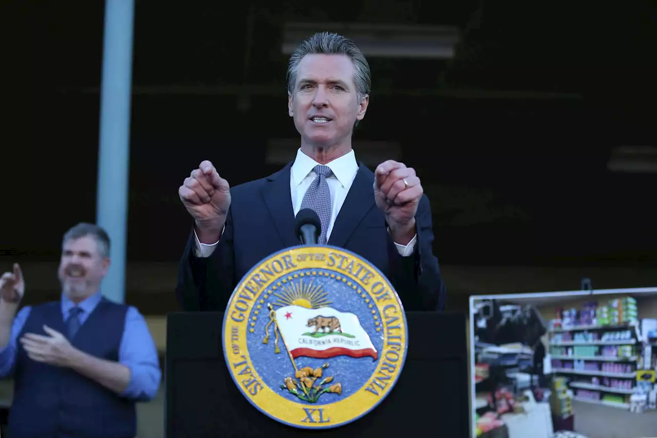 Gavin Newsom further stirs 2024 speculation with Florida ad buy