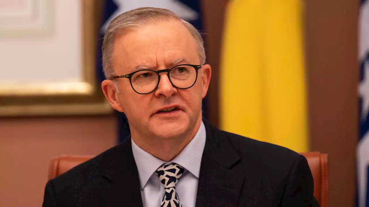 Albanese says NATO would be aware of 'more forward-leaning' China