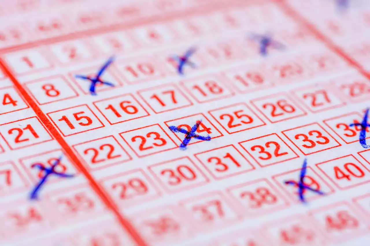 Daily Lotto results: Tuesday, 28 June 2022 | The Citizen