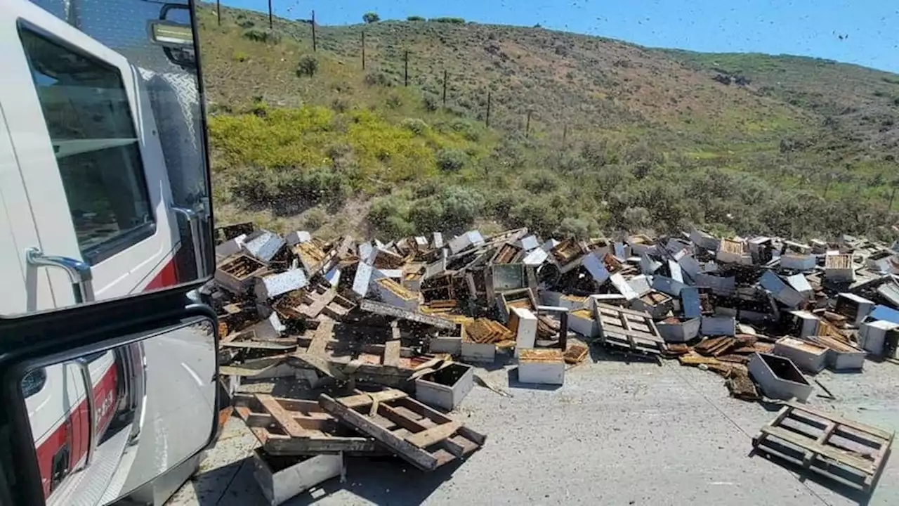 Two Hospitalized After Truck Drops 200 Beehives on Utah Highway