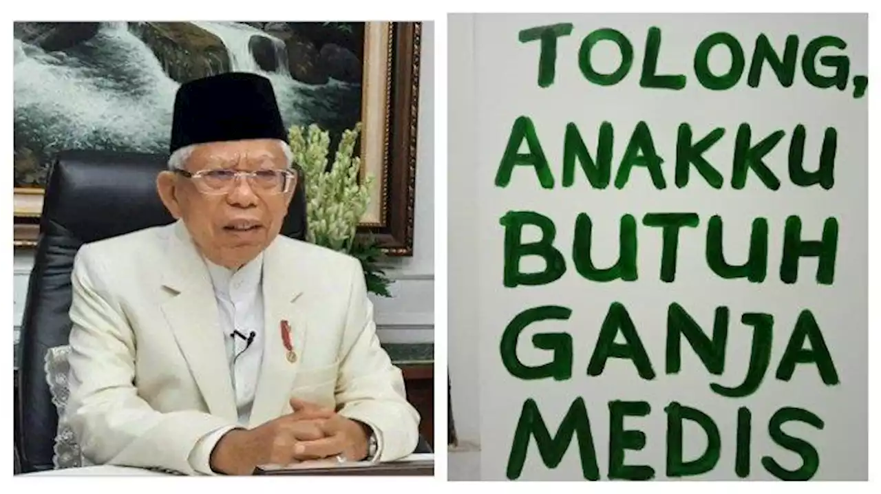 Maruf Amin Minta MUI Siapkan Fatwa Baru soal Penggunaan Ganja untuk Kebutuhan Medis - Tribunnews.com