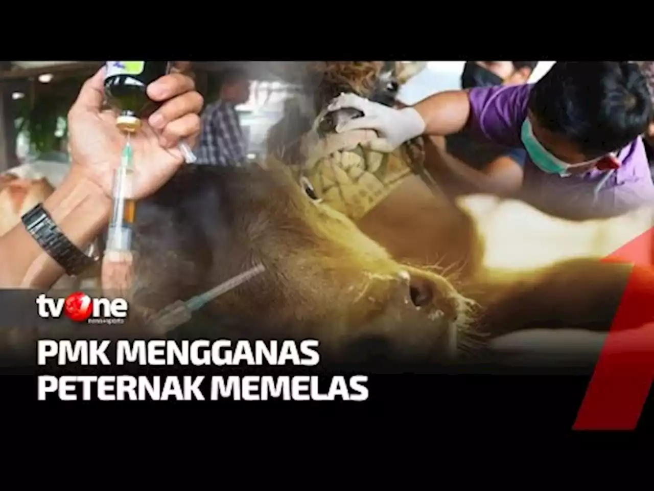 [FULL] PMK Mengganas, Peternak Memelas | Fakta - tvOne