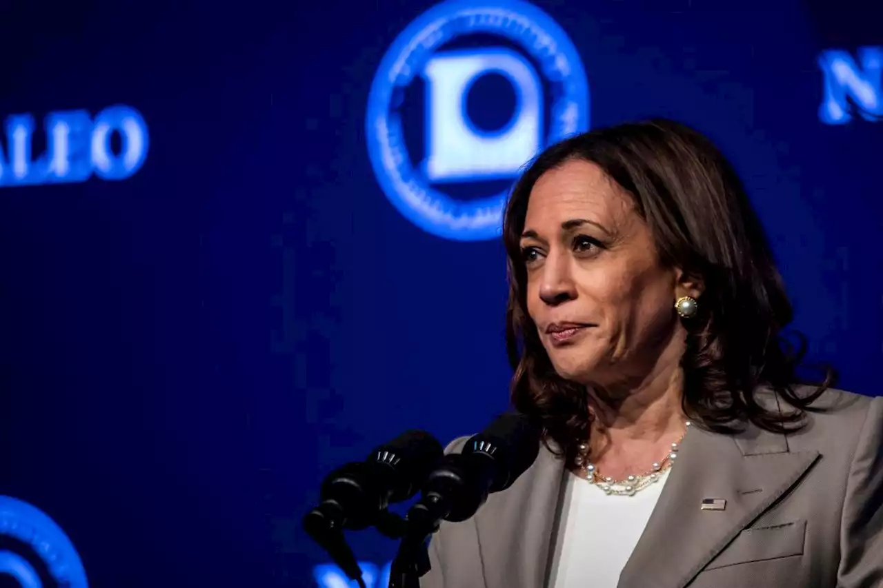 'This is not over': Harris warns Supreme Court may target gay marriage, contraception next