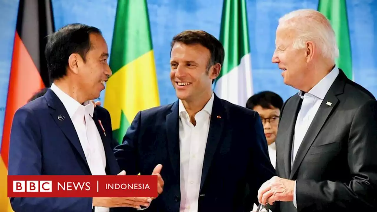 Jokowi temui pemimpin Rusia dan Ukraina, tawarkan usulan 'koridor pangan ' - bisakah RI cegah krisis pangan global? - BBC News Indonesia