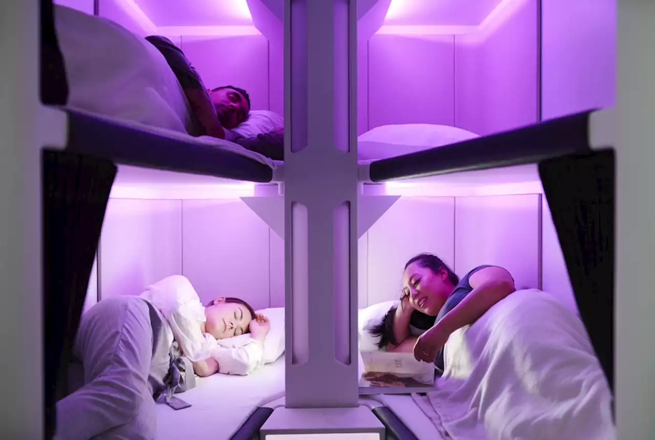 Air New Zealand to launch economy bunk beds on long-haul flights