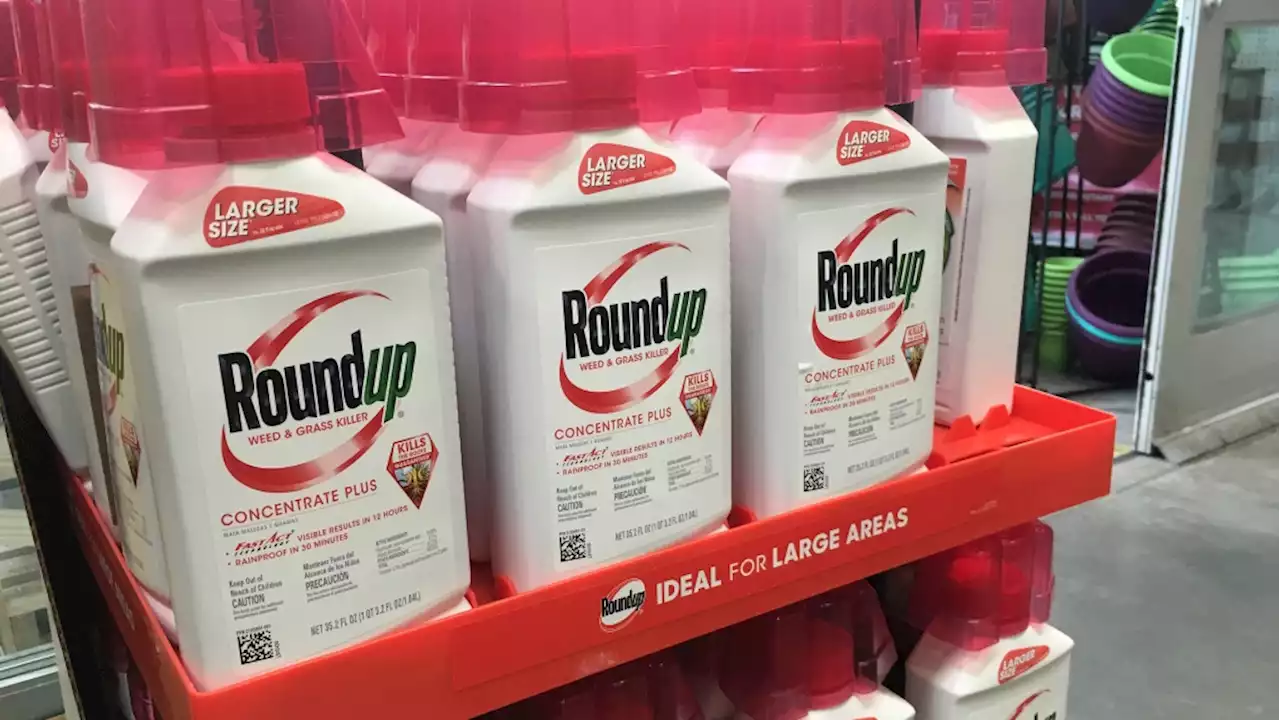 U.S. Supreme Court again nixes Bayer challenge to weedkiller suits