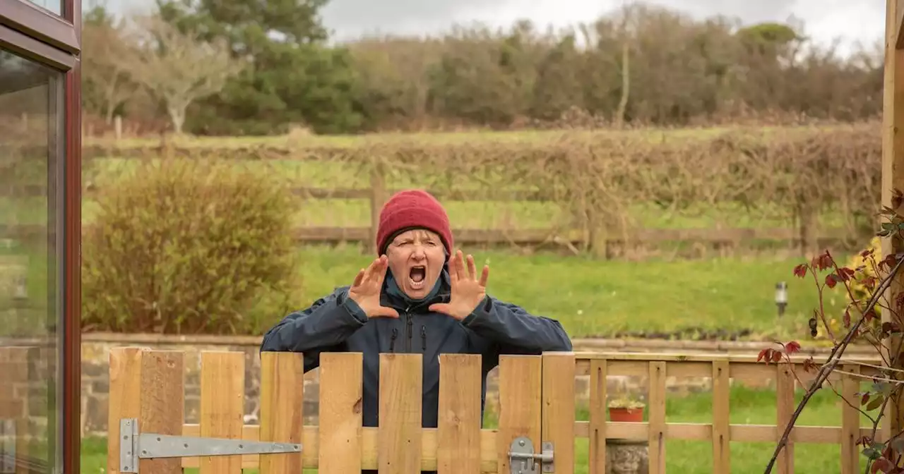 Woman outraged after neighbour decides to paint garden fence without telling her