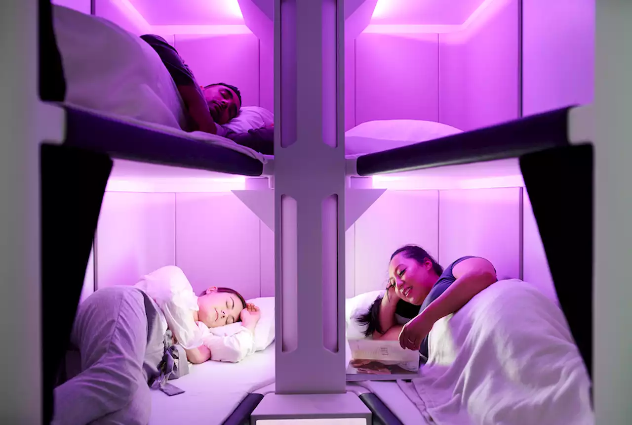 Sleep pods for economy passengers, Air New Zealand confirms | Digital Trends