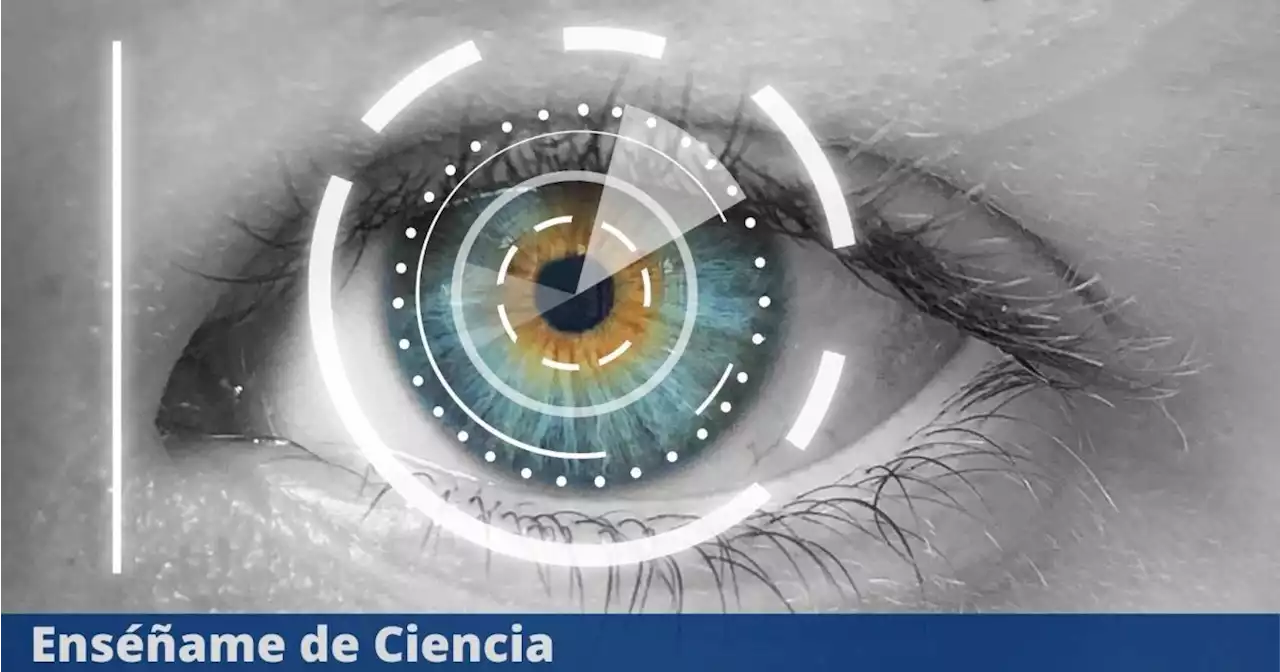 Científicos descubrieron diferencias en los ojos que pueden ayudar a diagnosticar autismo y TDAH