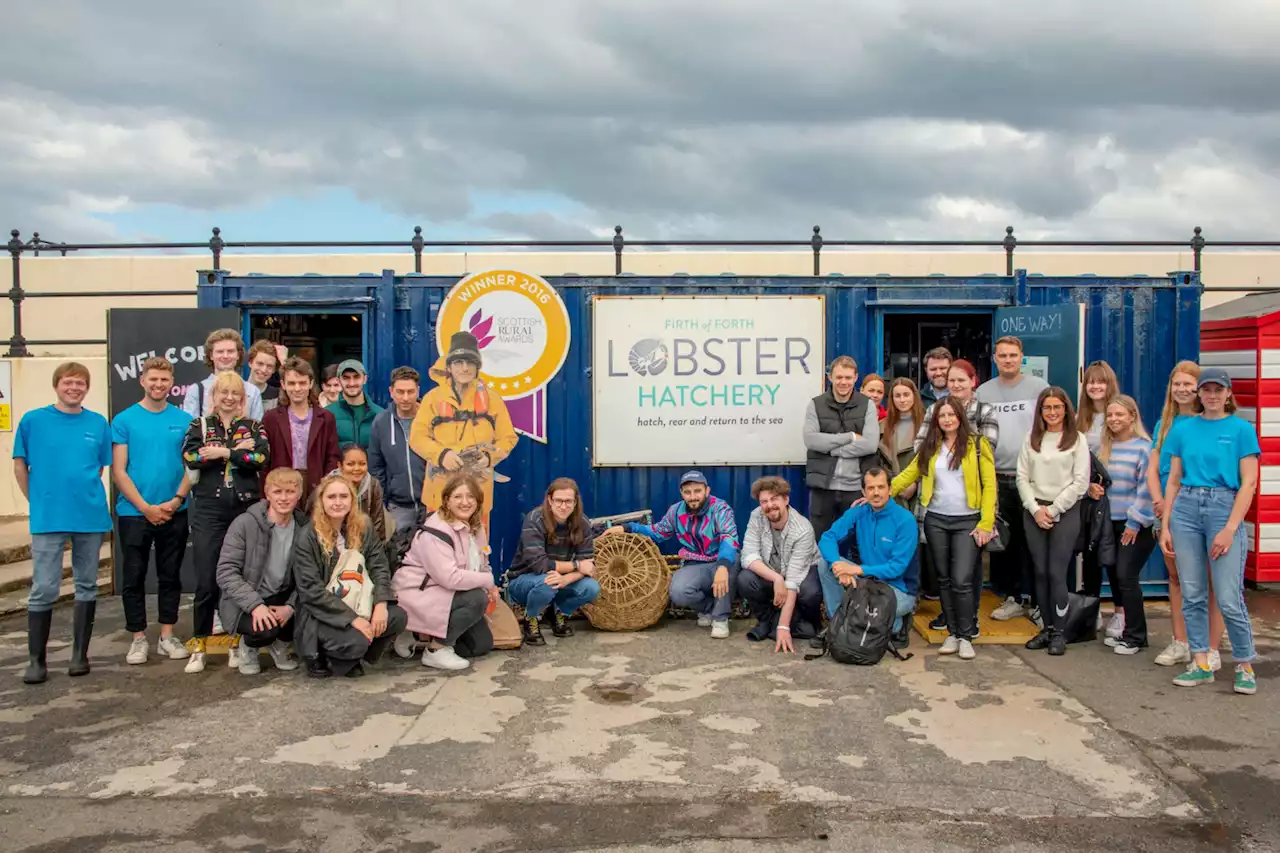 Glasgow hotel donates £2k to lobster hatchery