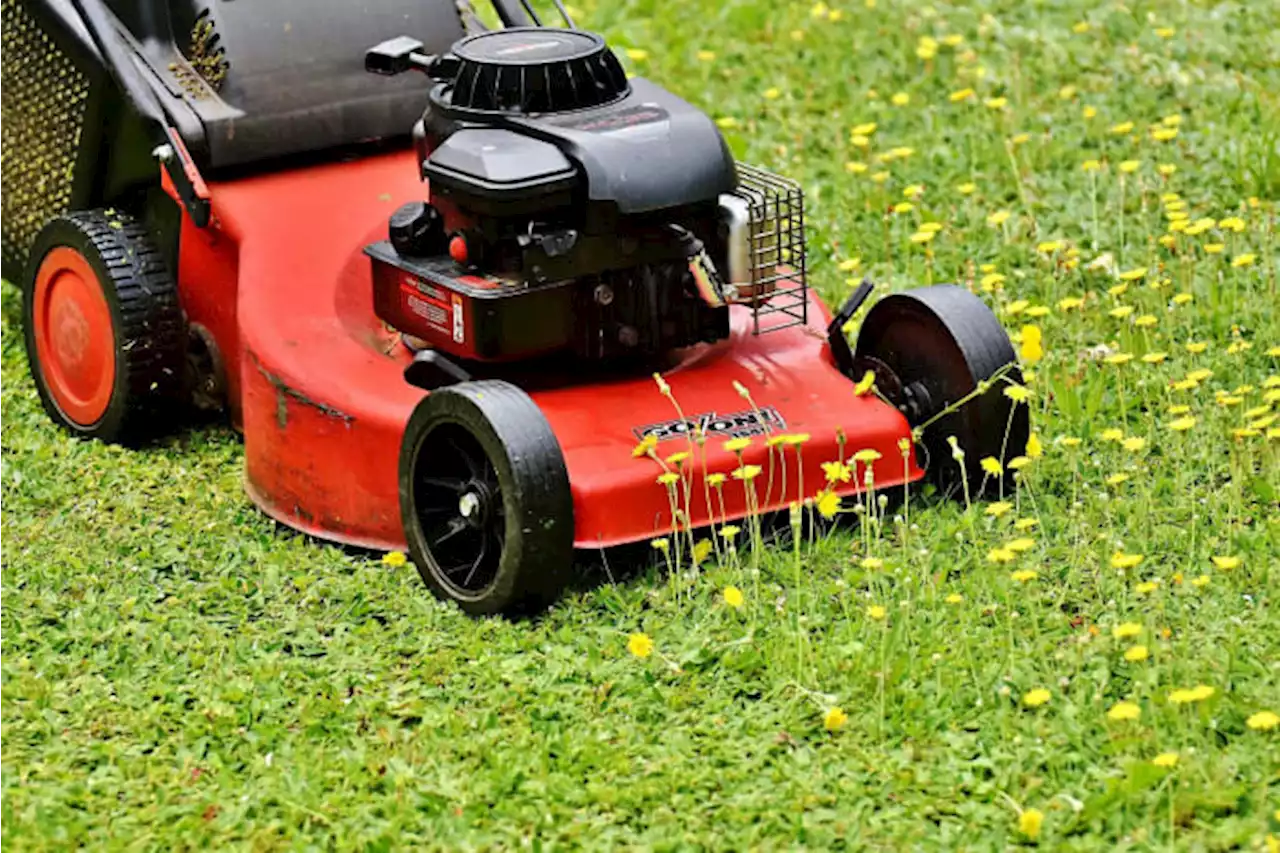 Borrow lawn tools for free from San Antonio’s Community Tool Shed