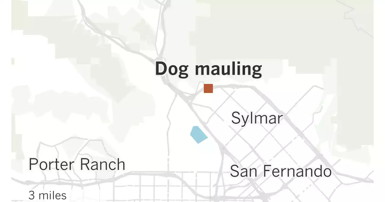 LAPD officer shoots, kills dog attacking woman in Sylmar