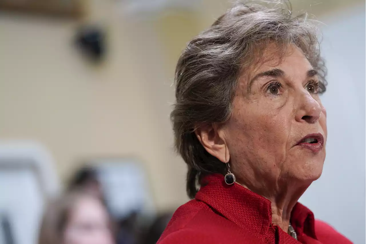 Illinois Primary Election 2022: Rep. Schakowsky, Rice Win Spots in 9th Congressional District Race