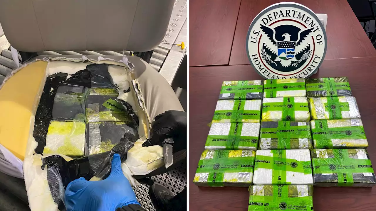 CBP: NJ Man Caught With 30 lbs. of Cocaine Inside His Electric Wheelchair at Airport