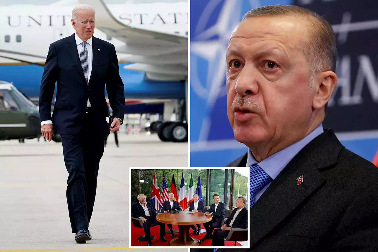 Biden in talk with Turkey’s Erdogan over Sweden, Finland NATO stalemate