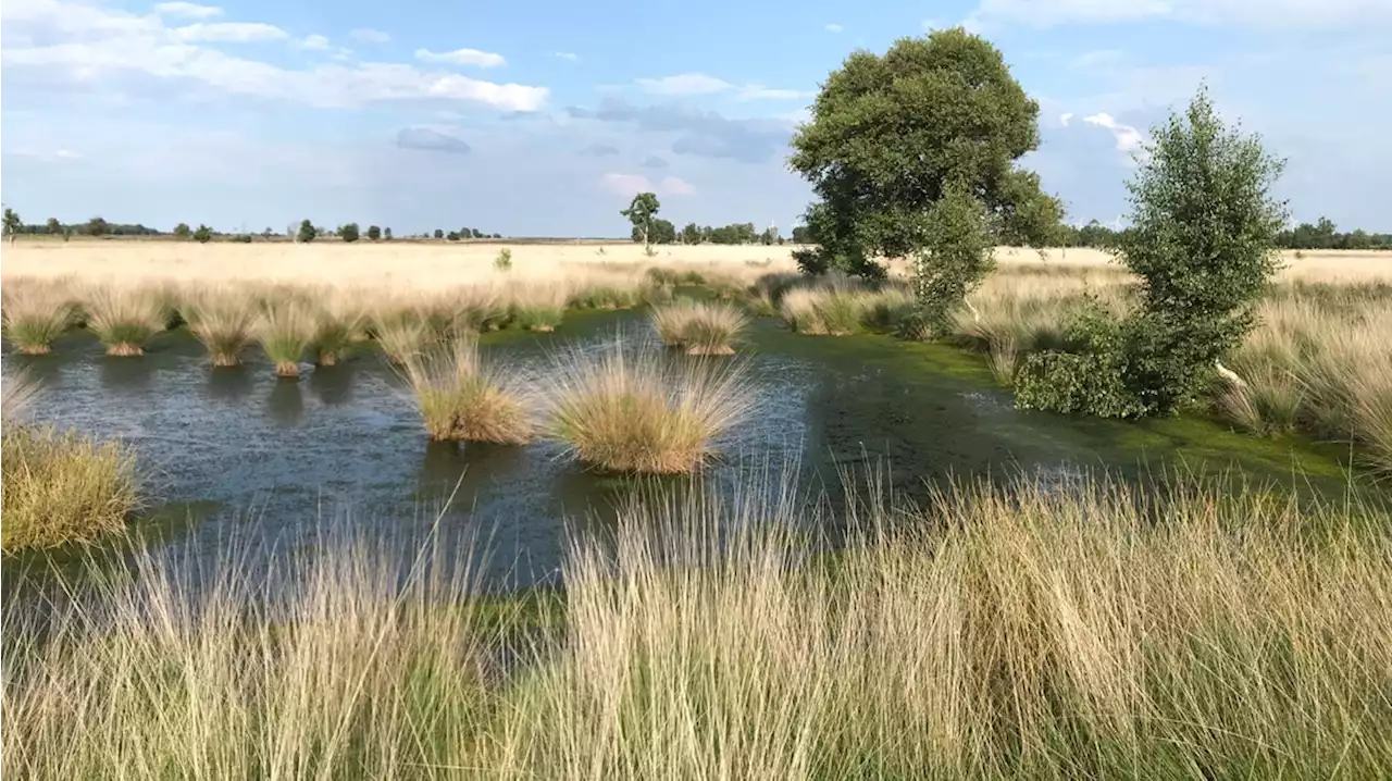 LTO Noord over stikstofmoties: 'De staat van de natuur staat nog steeds niet centraal'