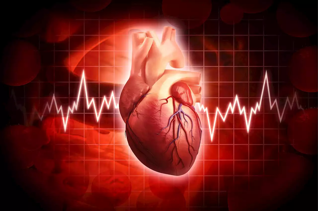 Concerning Data Revealed: Just 20% of People in the U.S. Has Optimal Heart Health