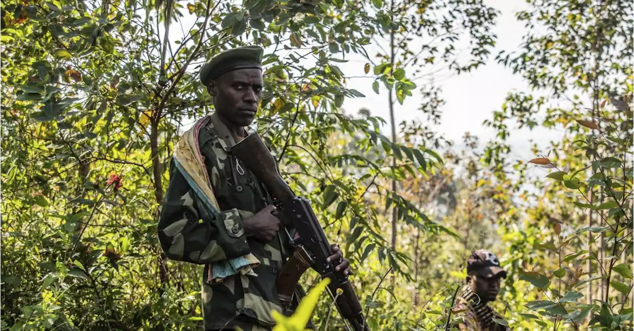 Le Conseil de sécurité de l’ONU mis en garde contre l’embrasement de l’est de la RDC