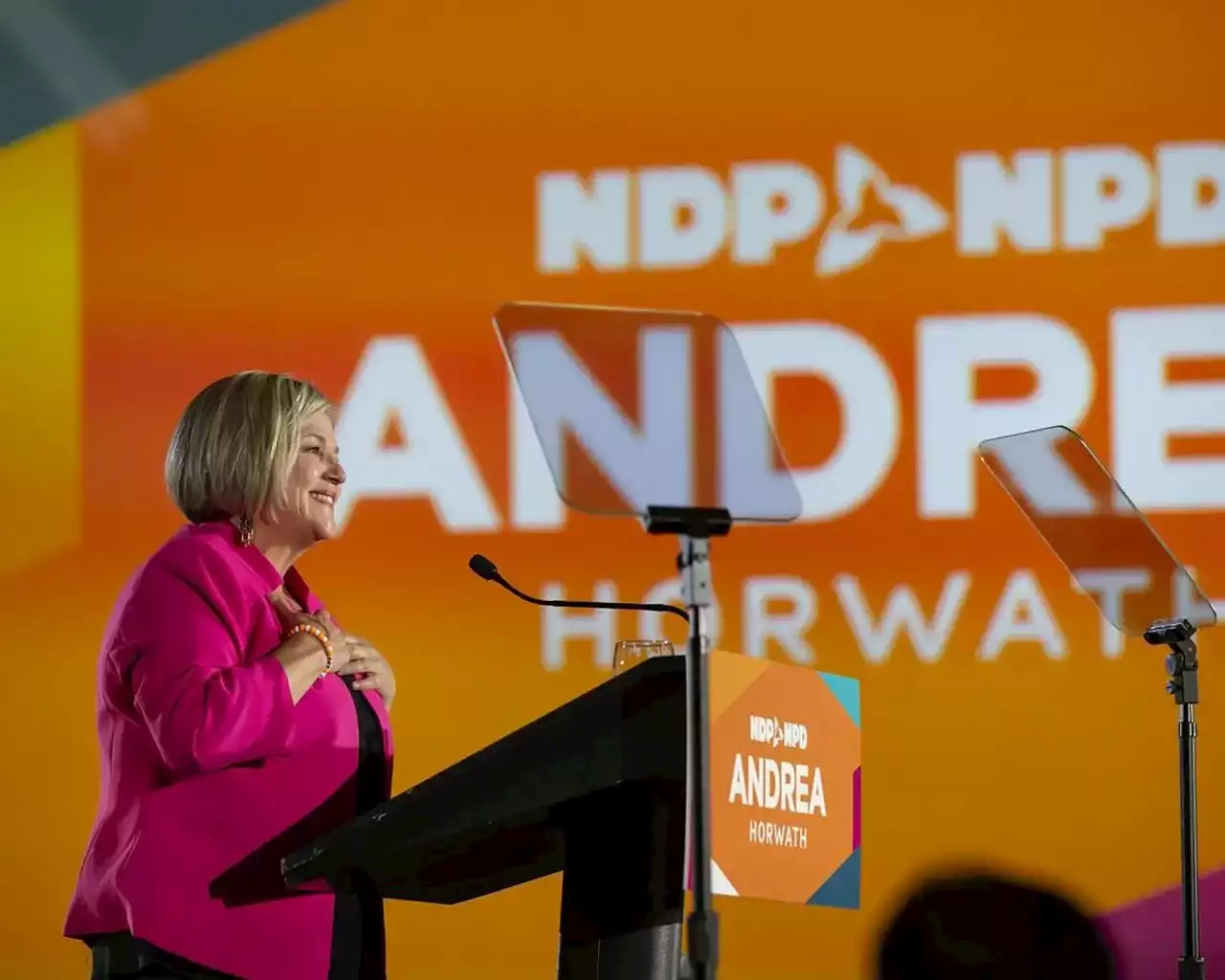 Ontario NDP names longtime Toronto caucus member Peter Tabuns as interim leader