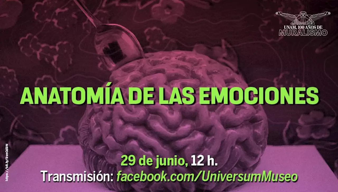 Anfitriones, la ciencia contigo 2022 - Universum, Museo de las Ciencias de la UNAM - DGDC, UNAM