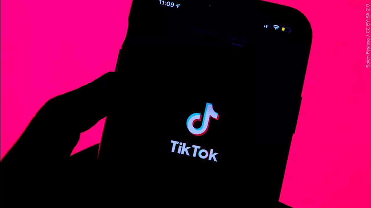 FCC chief calls on Apple, Google to drop TikTok from app stores