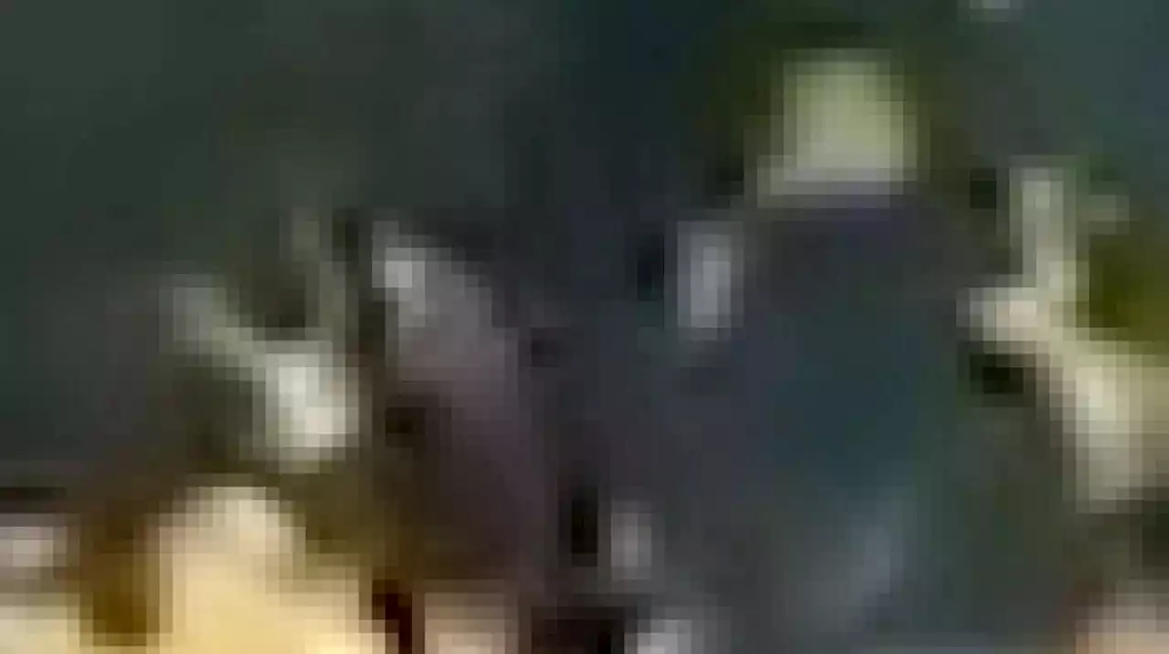 Capturan a 3 extraditables por presunto envío de cocaína a EE.UU.