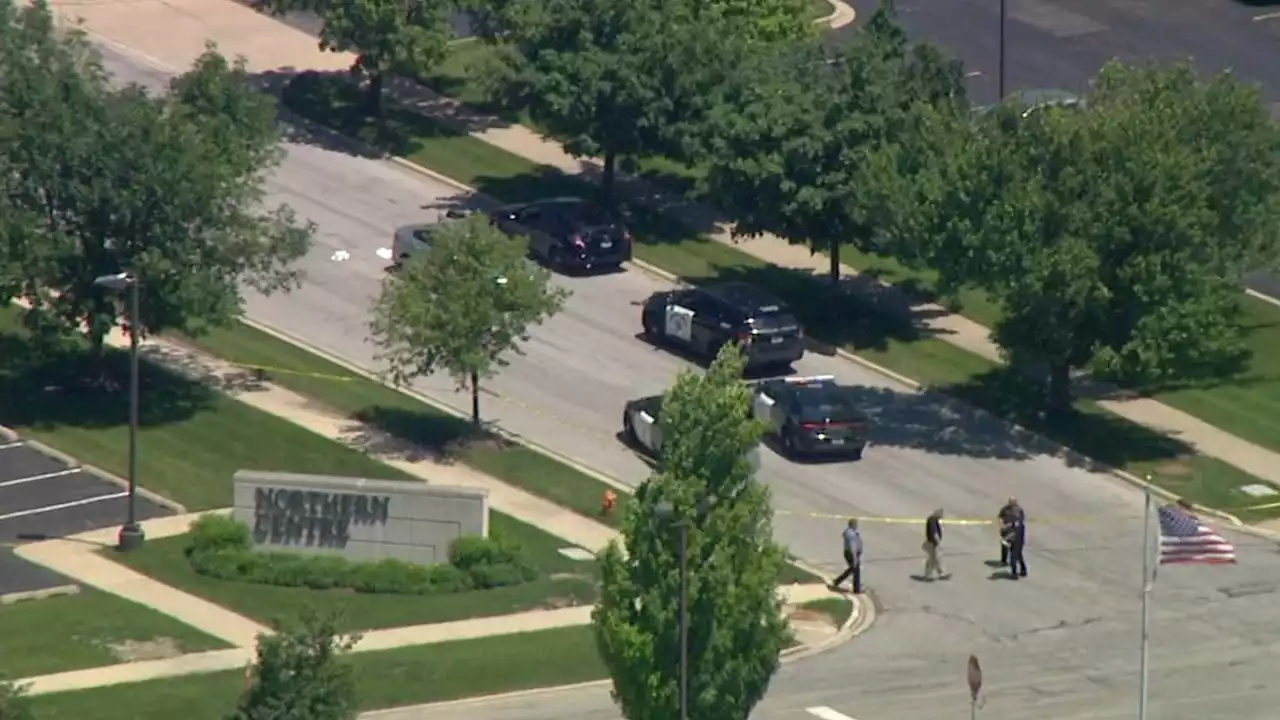 Naperville police activity near Route 59, Diehl Road