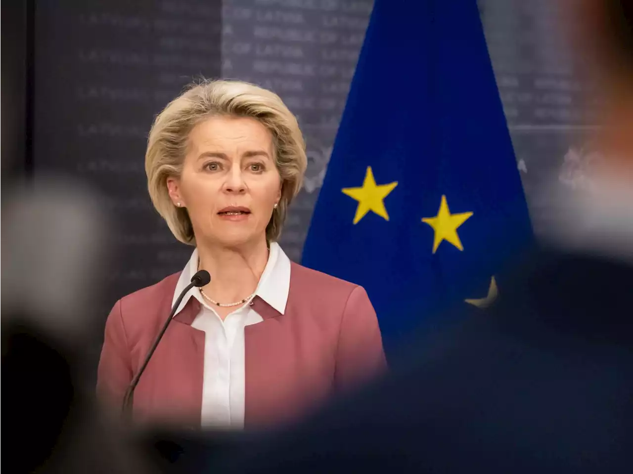 Ucraina-Russia, von der Leyen: '100 giorni di guerra ingiustificata, Ue è con Kiev'