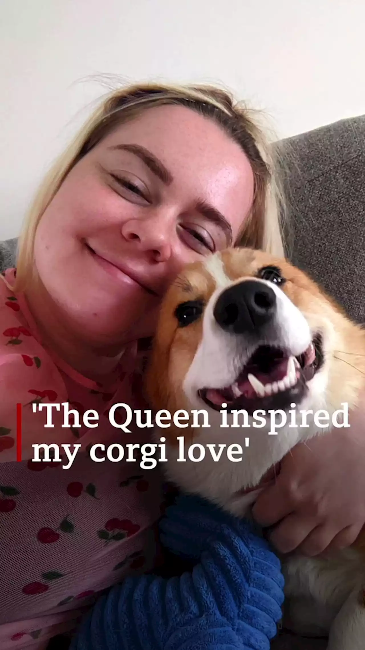 Corgis: How the Queen fell in love and started a phenomenon