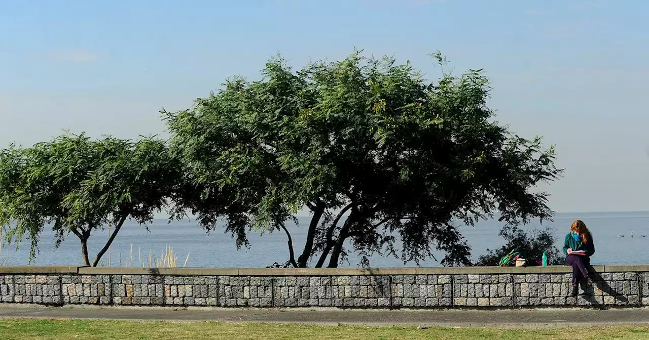 Recorrida en fotos por la Reserva Ecológica Costanera Norte, 23 hectáreas de tierras ganadas al río