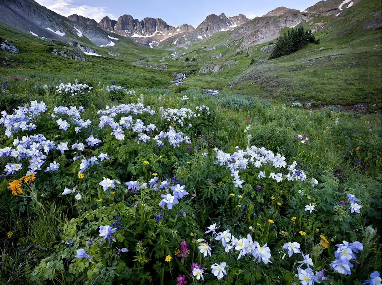 US Department of the Interior Increasing Clean Energy Plants on Public Lands