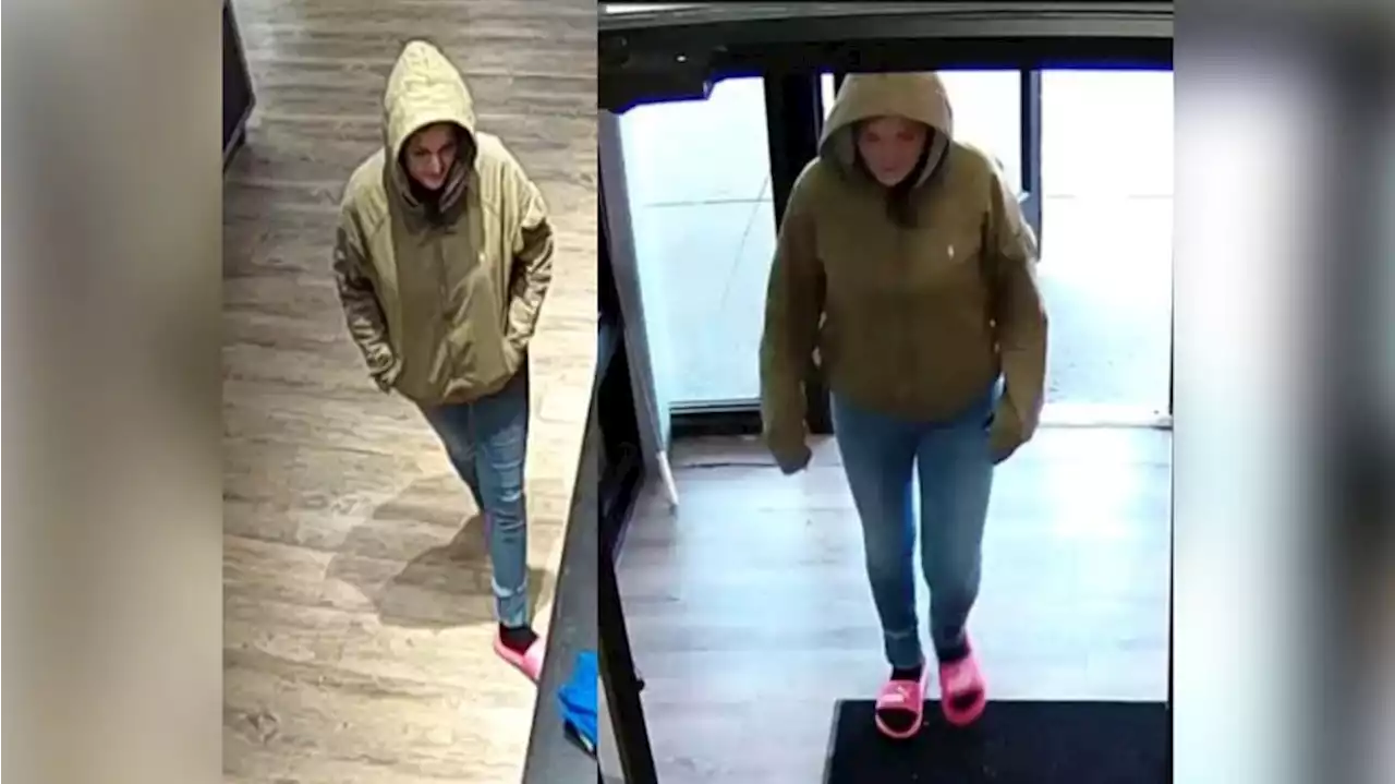 Woman wanted in Cleveland for grand theft auto