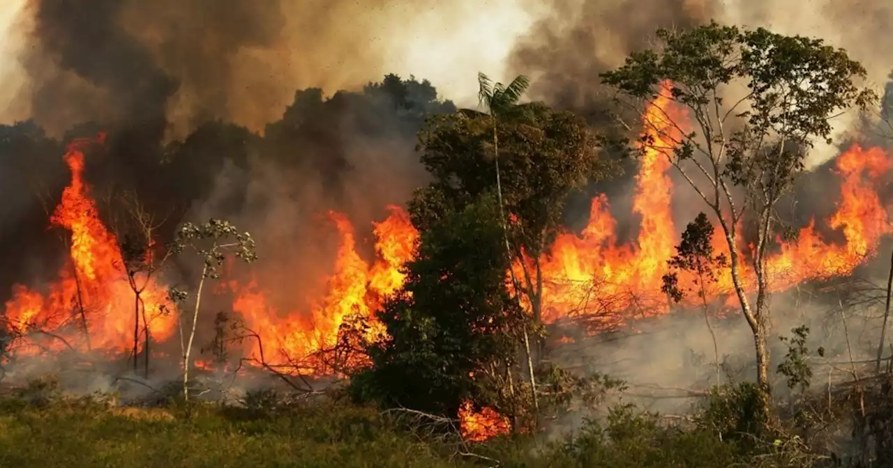 Scientists Urge 'Transformative Change' to Stave Off Climate, Biodiversity Collapse