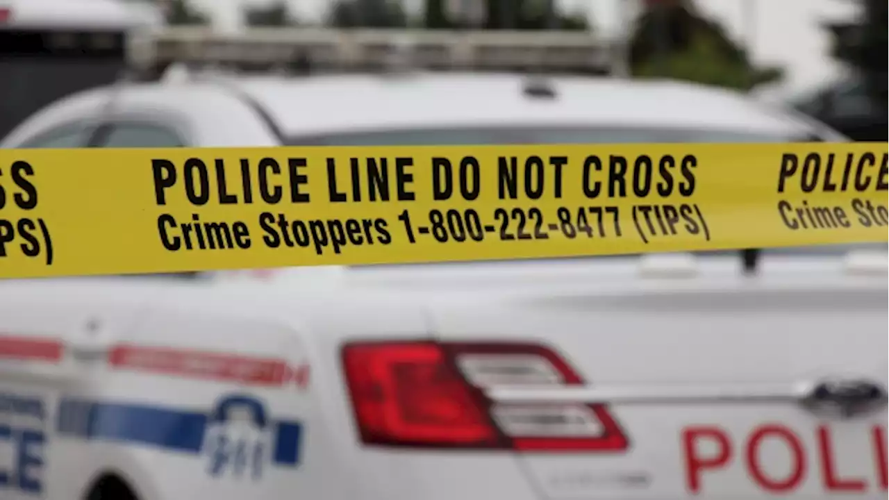 Thieves net more than $100,000 in Whitby jewelry store smash-and-grab