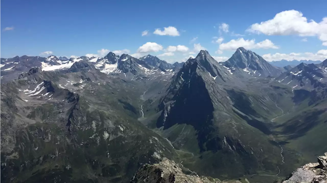 Snow-covered Alps being overtaken by vegetation, study reveals