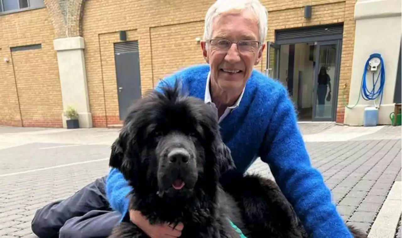 Paul O'Grady 'totally smitten' as he hints at new canine addition to home