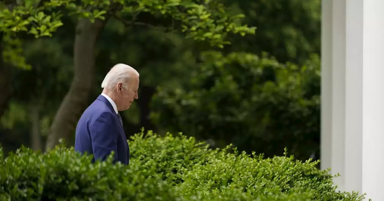 What does Joe Biden do all day?