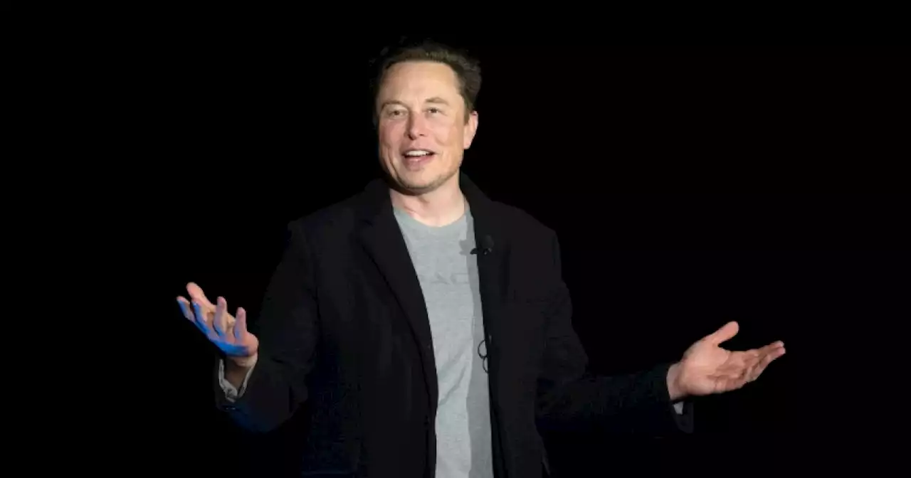 Campaign launched to stop Musk buying Twitter