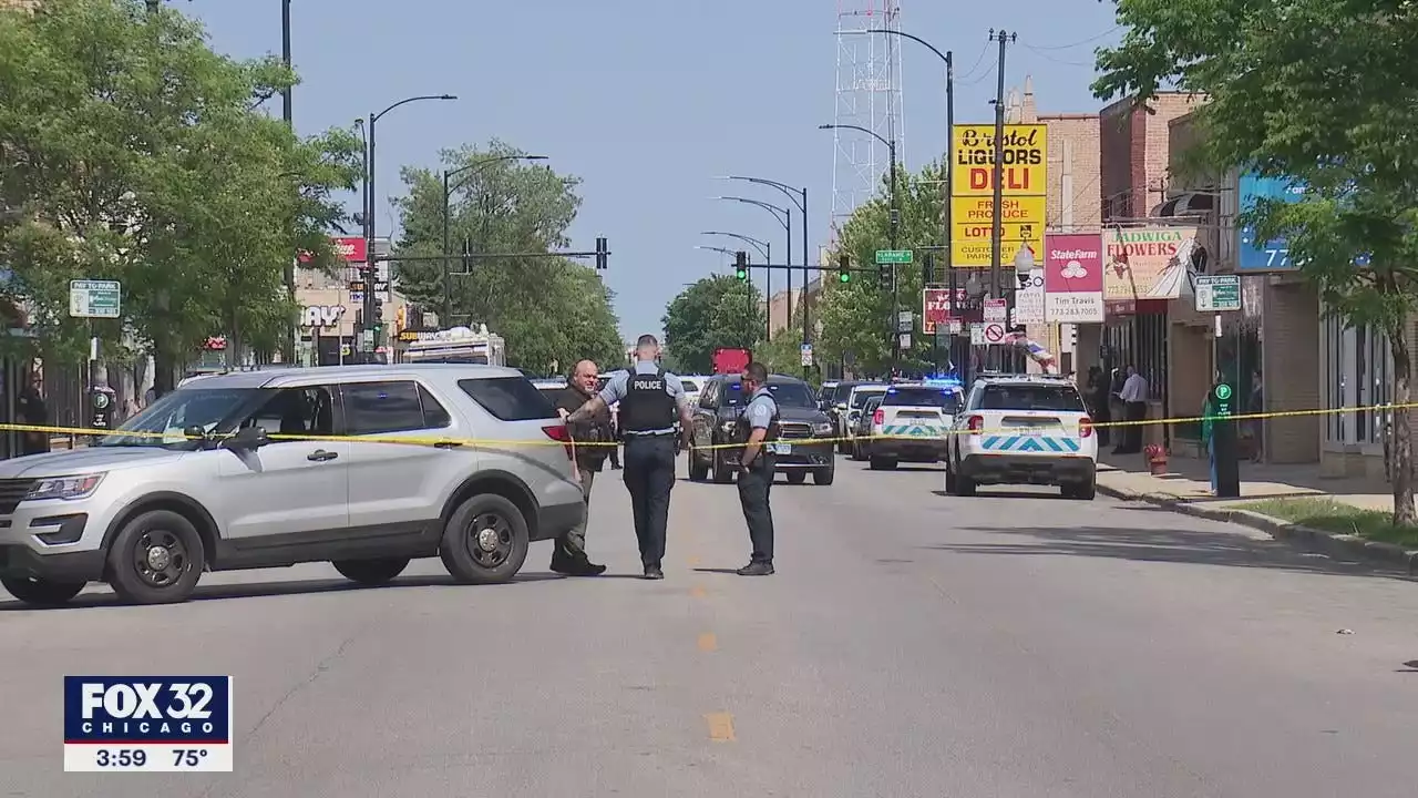 K9, US Marshal shot on Chicago's Northwest Side