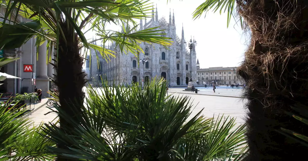 Milano, la destra, la sinistra e il paradosso della palma